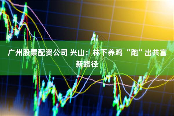 广州股票配资公司 兴山：林下养鸡 “跑”出共富新路径
