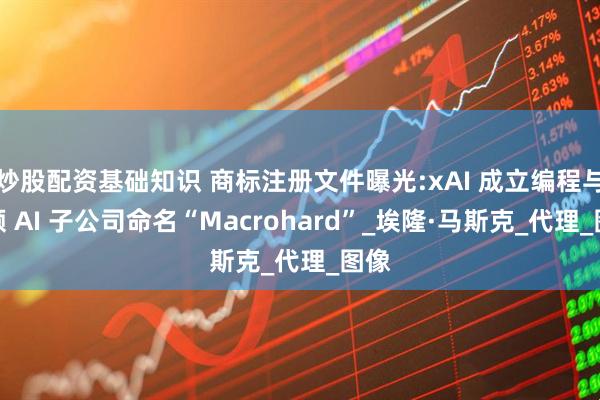炒股配资基础知识 商标注册文件曝光:xAI 成立编程与视频 AI 子公司命名“Macrohard”_埃隆·马斯克_代理_图像
